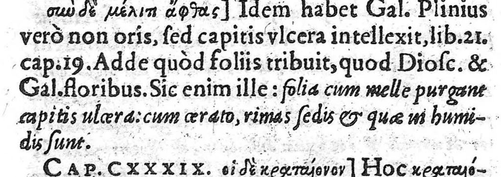 An illustration from Iani Antonii Saraceni lugdunaei scholia in Dioscoridis de materia medica libros V. et eiusdem de Venenis Lib. II. / Pedacii Dioscoridis Anazarbei de facile parabilibus tam simplicibus quam compositis medicamentis, ad Andromanchum libri duo, 1598, leaf 72