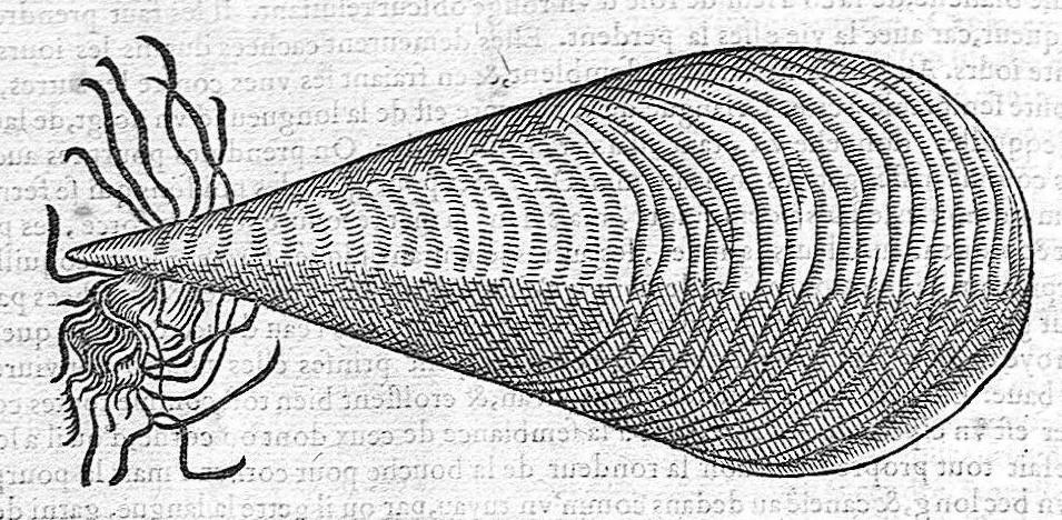 An illustration from Commentaires de M. Pierre André Matthiole medecin senois, sur les six livres de Ped. Dioscor. Anazarbeen de la matiere Medecinale, …, 1579, leaf 335