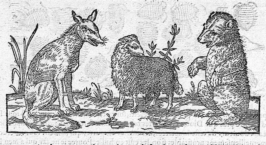 An illustration from Commentaires de M. Pierre André Matthiole medecin senois, sur les six livres de Ped. Dioscor. Anazarbeen de la matiere Medecinale, …, 1579, leaf 367