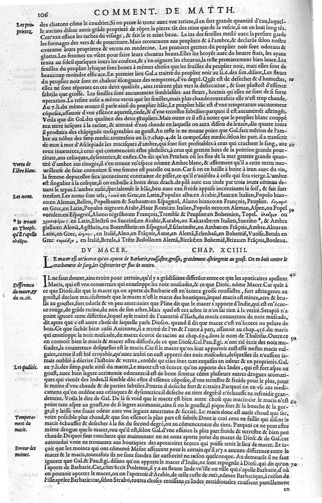 An illustration from Commentaires de M. Pierre Andre Matthiole medecin senois sur les six livres de Ped. Dioscoride Anazarbeen de la matiere medicale, Reveuz et augmentés en plus de mille lieux par l’autheur mesme, et enrichis pour la troisiéme fois, d’un grand nombre de pourtraits, de plantes et animaux tirés au vif, plus qu’aux precedentes editions. Avec certaines tables medecinales, tant des qualités et vertus des simples medicamens, que des remedes pour toutes maladies, qui peuvent avenir au corps humain, comme aussi les sentences, mots, et matieres traictees esdicts Commentaires : Davantage y a sur la fin, divers pourtraits de fourneaux et alembics, pour distiller et tirer les eaux de toutes plantes, avec le moyen de les conserver en leur naïves odeurs. Mis en François sur la derniere edition Latine de l’Autheur, par M. Jean des Moulins Docteur en Medecine, 1572, leaf 240