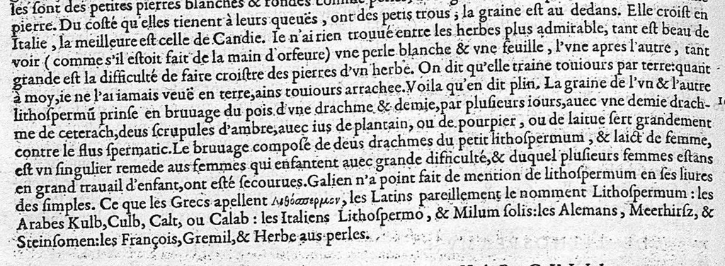 An illustration from Commentaires de M. Pierre Andre Matthiole medecin senois sur les six livres de Ped. Dioscoride Anazarbeen de la matiere medicale, Reveuz et augmentés en plus de mille lieux par l’autheur mesme, et enrichis pour la troisiéme fois, d’un grand nombre de pourtraits, de plantes et animaux tirés au vif, plus qu’aux precedentes editions. Avec certaines tables medecinales, tant des qualités et vertus des simples medicamens, que des remedes pour toutes maladies, qui peuvent avenir au corps humain, comme aussi les sentences, mots, et matieres traictees esdicts Commentaires : Davantage y a sur la fin, divers pourtraits de fourneaux et alembics, pour distiller et tirer les eaux de toutes plantes, avec le moyen de les conserver en leur naïves odeurs. Mis en François sur la derniere edition Latine de l’Autheur, par M. Jean des Moulins Docteur en Medecine, 1572, leaf 642