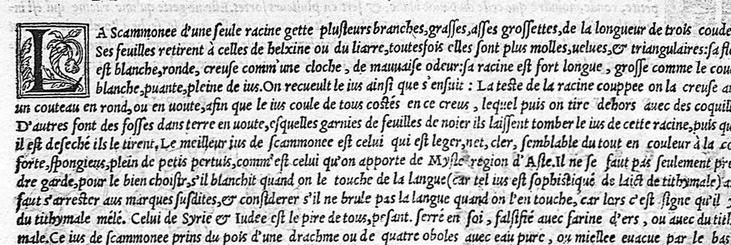An illustration from Commentaires de M. Pierre Andre Matthiole medecin senois sur les six livres de Ped. Dioscoride Anazarbeen de la matiere medicale, Reveuz et augmentés en plus de mille lieux par l’autheur mesme, et enrichis pour la troisiéme fois, d’un grand nombre de pourtraits, de plantes et animaux tirés au vif, plus qu’aux precedentes editions. Avec certaines tables medecinales, tant des qualités et vertus des simples medicamens, que des remedes pour toutes maladies, qui peuvent avenir au corps humain, comme aussi les sentences, mots, et matieres traictees esdicts Commentaires : Davantage y a sur la fin, divers pourtraits de fourneaux et alembics, pour distiller et tirer les eaux de toutes plantes, avec le moyen de les conserver en leur naïves odeurs. Mis en François sur la derniere edition Latine de l’Autheur, par M. Jean des Moulins Docteur en Medecine, 1572, leaf 796