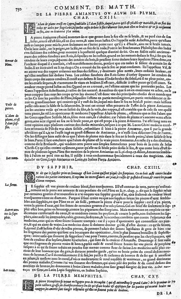 An illustration from Commentaires de M. Pierre Andre Matthiole medecin senois sur les six livres de Ped. Dioscoride Anazarbeen de la matiere medicale, Reveuz et augmentés en plus de mille lieux par l’autheur mesme, et enrichis pour la troisiéme fois, d’un grand nombre de pourtraits, de plantes et animaux tirés au vif, plus qu’aux precedentes editions. Avec certaines tables medecinales, tant des qualités et vertus des simples medicamens, que des remedes pour toutes maladies, qui peuvent avenir au corps humain, comme aussi les sentences, mots, et matieres traictees esdicts Commentaires : Davantage y a sur la fin, divers pourtraits de fourneaux et alembics, pour distiller et tirer les eaux de toutes plantes, avec le moyen de les conserver en leur naïves odeurs. Mis en François sur la derniere edition Latine de l’Autheur, par M. Jean des Moulins Docteur en Medecine, 1572, leaf 884