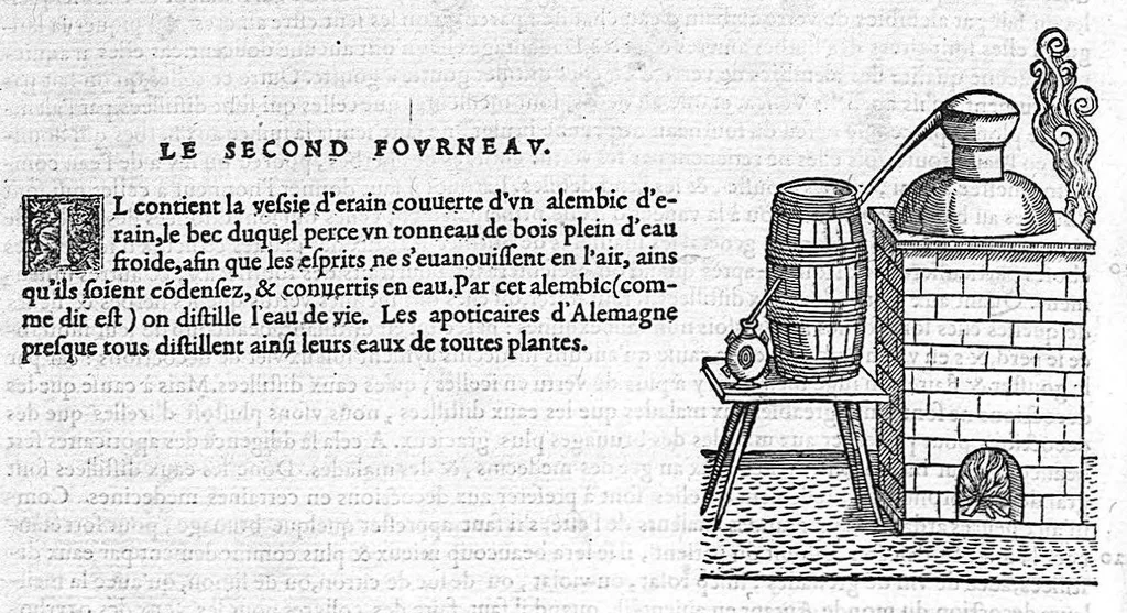 An illustration from Commentaires de M. Pierre Andre Matthiole medecin senois sur les six livres de Ped. Dioscoride Anazarbeen de la matiere medicale, Reveuz et augmentés en plus de mille lieux par l’autheur mesme, et enrichis pour la troisiéme fois, d’un grand nombre de pourtraits, de plantes et animaux tirés au vif, plus qu’aux precedentes editions. Avec certaines tables medecinales, tant des qualités et vertus des simples medicamens, que des remedes pour toutes maladies, qui peuvent avenir au corps humain, comme aussi les sentences, mots, et matieres traictees esdicts Commentaires : Davantage y a sur la fin, divers pourtraits de fourneaux et alembics, pour distiller et tirer les eaux de toutes plantes, avec le moyen de les conserver en leur naïves odeurs. Mis en François sur la derniere edition Latine de l’Autheur, par M. Jean des Moulins Docteur en Medecine, 1572, leaf 952