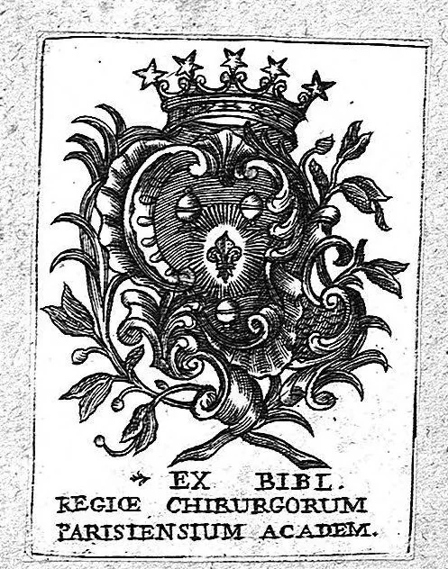 An illustration from Petri Andreae Matthioli,... Opera quae extant omnia, hoc est Commentarii in VI libros Pedacii Dioscoridis Anazarbei de medica materia, adjectis in margine variis graeci textus lectionibus... qui Dioscoridis depravatam lectionem restituunt, nunc a Casparo Bacchino,... post diversarum editionum collationem infinitis locis aucti, synonymiis quoque plantarum et notis illustrati ; adjectis plantarum iconibus... de ratione distillandi aquas ex omnibus plantis... Item, apologia in Amatum Lusitanum, cum censura in ejusdem enarrationes [necnon praefatione Francisci Parthini Roboretani]. Epistolarum medicinalium libri quinque ; Dialogus de morbo gallico..., 1598, leaf 0