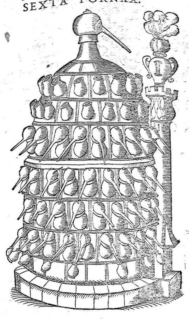 An illustration from Petri Andreae Matthioli,... Opera quae extant omnia, hoc est Commentarii in VI libros Pedacii Dioscoridis Anazarbei de medica materia, adjectis in margine variis graeci textus lectionibus... qui Dioscoridis depravatam lectionem restituunt, nunc a Casparo Bacchino,... post diversarum editionum collationem infinitis locis aucti, synonymiis quoque plantarum et notis illustrati ; adjectis plantarum iconibus... de ratione distillandi aquas ex omnibus plantis... Item, apologia in Amatum Lusitanum, cum censura in ejusdem enarrationes [necnon praefatione Francisci Parthini Roboretani]. Epistolarum medicinalium libri quinque ; Dialogus de morbo gallico..., 1598, leaf 1153