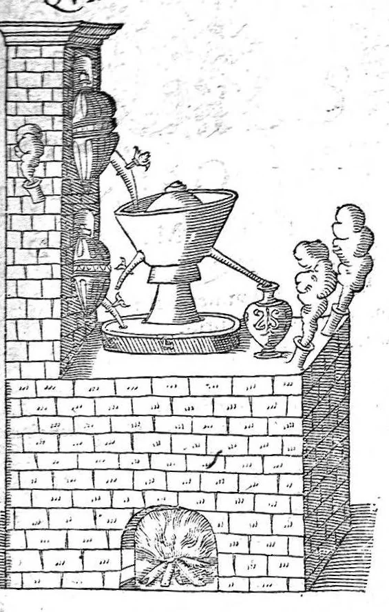 An illustration from Petri Andreae Matthioli,... Opera quae extant omnia, hoc est Commentarii in VI libros Pedacii Dioscoridis Anazarbei de medica materia, adjectis in margine variis graeci textus lectionibus... qui Dioscoridis depravatam lectionem restituunt, nunc a Casparo Bacchino,... post diversarum editionum collationem infinitis locis aucti, synonymiis quoque plantarum et notis illustrati ; adjectis plantarum iconibus... de ratione distillandi aquas ex omnibus plantis... Item, apologia in Amatum Lusitanum, cum censura in ejusdem enarrationes [necnon praefatione Francisci Parthini Roboretani]. Epistolarum medicinalium libri quinque ; Dialogus de morbo gallico..., 1598, leaf 1153