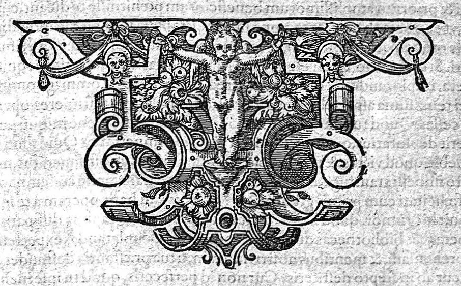 An illustration from Petri Andreae Matthioli,... Opera quae extant omnia, hoc est Commentarii in VI libros Pedacii Dioscoridis Anazarbei de medica materia, adjectis in margine variis graeci textus lectionibus... qui Dioscoridis depravatam lectionem restituunt, nunc a Casparo Bacchino,... post diversarum editionum collationem infinitis locis aucti, synonymiis quoque plantarum et notis illustrati ; adjectis plantarum iconibus... de ratione distillandi aquas ex omnibus plantis... Item, apologia in Amatum Lusitanum, cum censura in ejusdem enarrationes [necnon praefatione Francisci Parthini Roboretani]. Epistolarum medicinalium libri quinque ; Dialogus de morbo gallico..., 1598, leaf 1176