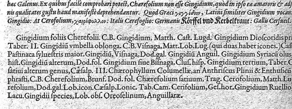 An illustration from Petri Andreae Matthioli,... Opera quae extant omnia, hoc est Commentarii in VI libros Pedacii Dioscoridis Anazarbei de medica materia, adjectis in margine variis graeci textus lectionibus... qui Dioscoridis depravatam lectionem restituunt, nunc a Casparo Bacchino,... post diversarum editionum collationem infinitis locis aucti, synonymiis quoque plantarum et notis illustrati ; adjectis plantarum iconibus... de ratione distillandi aquas ex omnibus plantis... Item, apologia in Amatum Lusitanum, cum censura in ejusdem enarrationes [necnon praefatione Francisci Parthini Roboretani]. Epistolarum medicinalium libri quinque ; Dialogus de morbo gallico..., 1598, leaf 522