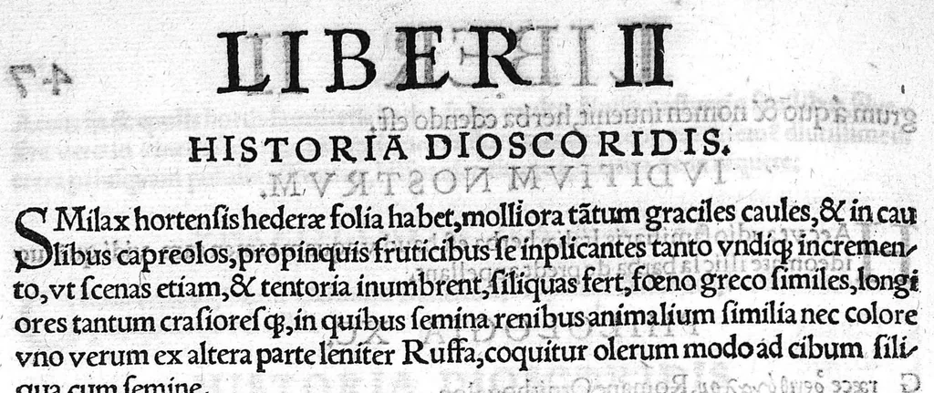 An illustration from Index Dioscoridis. En, candide lector, Historiales Dioscoridis campi, exegemataque simplicium, atque eorundem collationes cum his quae in officinis habentur... Joanne Roderico Castelli albi Lusitano auctore, 1536, leaf 103