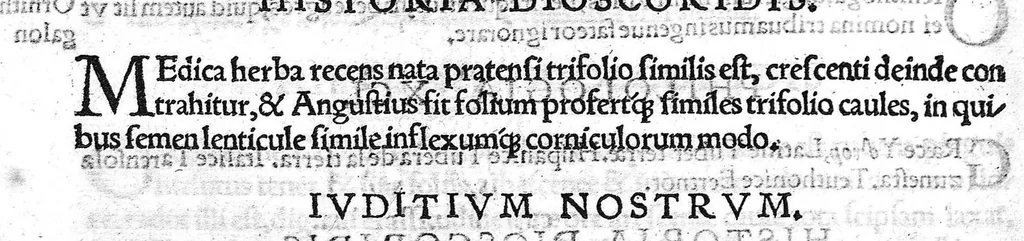 An illustration from Index Dioscoridis. En, candide lector, Historiales Dioscoridis campi, exegemataque simplicium, atque eorundem collationes cum his quae in officinis habentur... Joanne Roderico Castelli albi Lusitano auctore, 1536, leaf 103