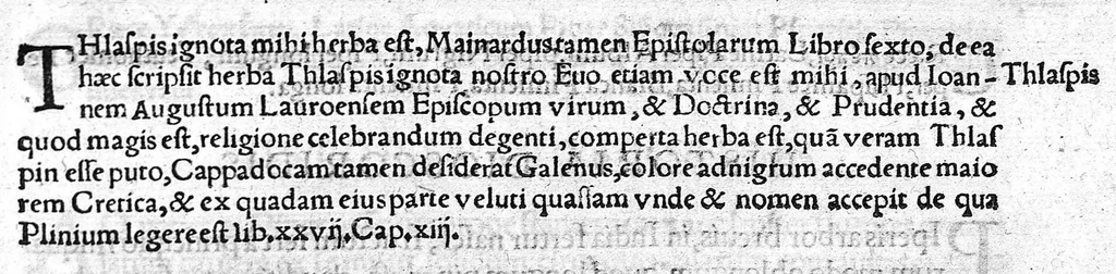 An illustration from Index Dioscoridis. En, candide lector, Historiales Dioscoridis campi, exegemataque simplicium, atque eorundem collationes cum his quae in officinis habentur... Joanne Roderico Castelli albi Lusitano auctore, 1536, leaf 106