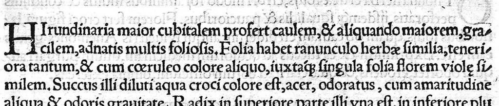 An illustration from Index Dioscoridis. En, candide lector, Historiales Dioscoridis campi, exegemataque simplicium, atque eorundem collationes cum his quae in officinis habentur... Joanne Roderico Castelli albi Lusitano auctore, 1536, leaf 118