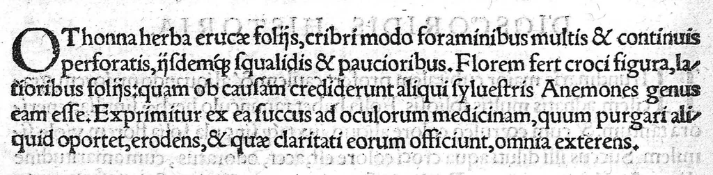 An illustration from Index Dioscoridis. En, candide lector, Historiales Dioscoridis campi, exegemataque simplicium, atque eorundem collationes cum his quae in officinis habentur... Joanne Roderico Castelli albi Lusitano auctore, 1536, leaf 119
