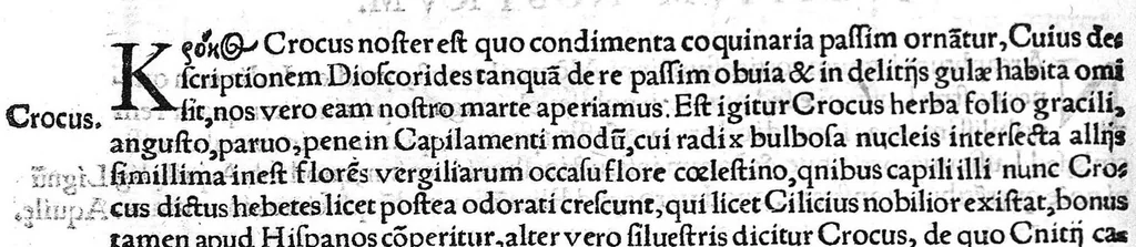 An illustration from Index Dioscoridis. En, candide lector, Historiales Dioscoridis campi, exegemataque simplicium, atque eorundem collationes cum his quae in officinis habentur... Joanne Roderico Castelli albi Lusitano auctore, 1536, leaf 27