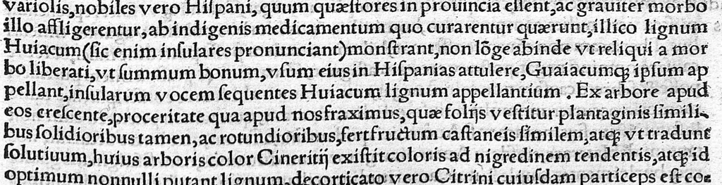 An illustration from Index Dioscoridis. En, candide lector, Historiales Dioscoridis campi, exegemataque simplicium, atque eorundem collationes cum his quae in officinis habentur... Joanne Roderico Castelli albi Lusitano auctore, 1536, leaf 56