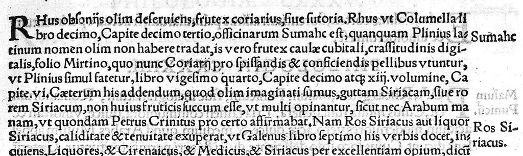 An illustration from Index Dioscoridis. En, candide lector, Historiales Dioscoridis campi, exegemataque simplicium, atque eorundem collationes cum his quae in officinis habentur... Joanne Roderico Castelli albi Lusitano auctore, 1536, leaf 66