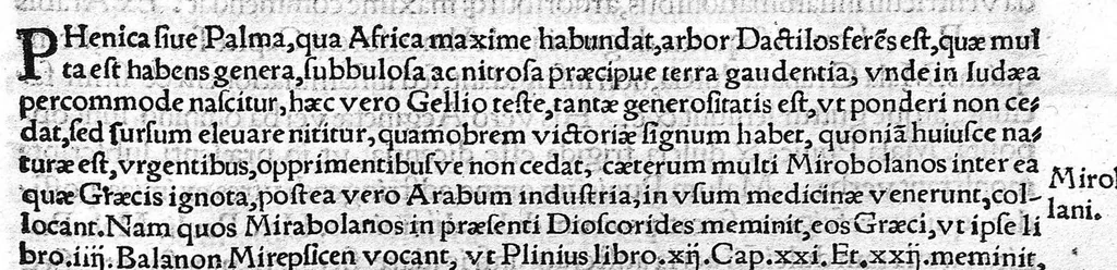 An illustration from Index Dioscoridis. En, candide lector, Historiales Dioscoridis campi, exegemataque simplicium, atque eorundem collationes cum his quae in officinis habentur... Joanne Roderico Castelli albi Lusitano auctore, 1536, leaf 66