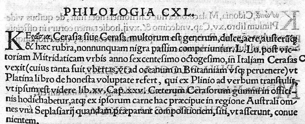 An illustration from Index Dioscoridis. En, candide lector, Historiales Dioscoridis campi, exegemataque simplicium, atque eorundem collationes cum his quae in officinis habentur... Joanne Roderico Castelli albi Lusitano auctore, 1536, leaf 68