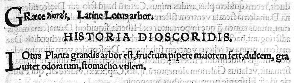 An illustration from Index Dioscoridis. En, candide lector, Historiales Dioscoridis campi, exegemataque simplicium, atque eorundem collationes cum his quae in officinis habentur... Joanne Roderico Castelli albi Lusitano auctore, 1536, leaf 72