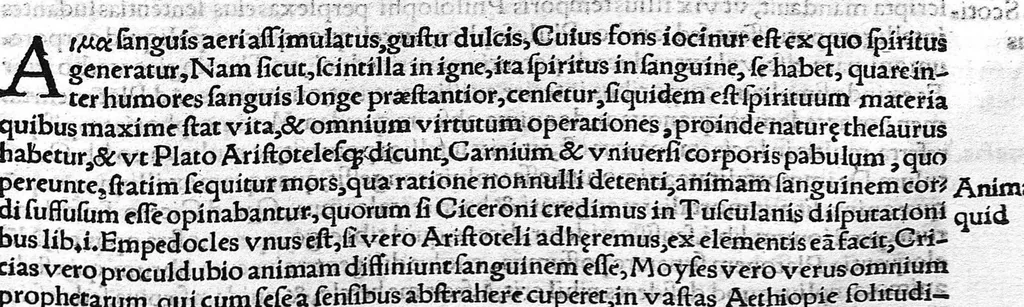 An illustration from Index Dioscoridis. En, candide lector, Historiales Dioscoridis campi, exegemataque simplicium, atque eorundem collationes cum his quae in officinis habentur... Joanne Roderico Castelli albi Lusitano auctore, 1536, leaf 78