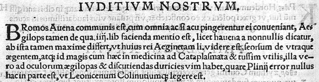 An illustration from Index Dioscoridis. En, candide lector, Historiales Dioscoridis campi, exegemataque simplicium, atque eorundem collationes cum his quae in officinis habentur... Joanne Roderico Castelli albi Lusitano auctore, 1536, leaf 83