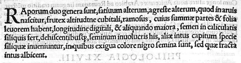 An illustration from Index Dioscoridis. En, candide lector, Historiales Dioscoridis campi, exegemataque simplicium, atque eorundem collationes cum his quae in officinis habentur... Joanne Roderico Castelli albi Lusitano auctore, 1536, leaf 89