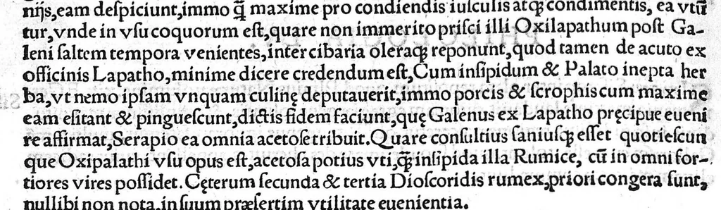 An illustration from Index Dioscoridis. En, candide lector, Historiales Dioscoridis campi, exegemataque simplicium, atque eorundem collationes cum his quae in officinis habentur... Joanne Roderico Castelli albi Lusitano auctore, 1536, leaf 91
