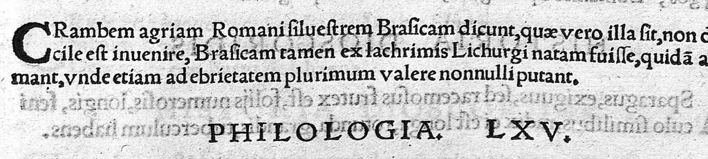 An illustration from Index Dioscoridis. En, candide lector, Historiales Dioscoridis campi, exegemataque simplicium, atque eorundem collationes cum his quae in officinis habentur... Joanne Roderico Castelli albi Lusitano auctore, 1536, leaf 92