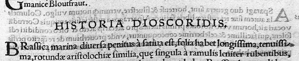 An illustration from Index Dioscoridis. En, candide lector, Historiales Dioscoridis campi, exegemataque simplicium, atque eorundem collationes cum his quae in officinis habentur... Joanne Roderico Castelli albi Lusitano auctore, 1536, leaf 92
