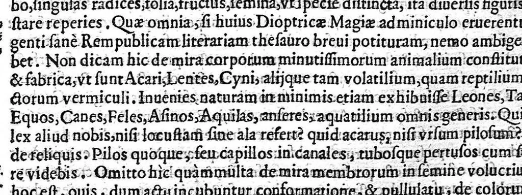 An illustration from Ars magna lvcis et vmbrae, in decem libros digesta. Qvibvs admirandae lvcis et vmbrae in mundo, atque adeò vniuersa natura, vires effectusq, vti noua, ita varia nouorum reconditiorumq, speciminum exhibitione, ad varios mortalium vsus, panduntur, 1646, leaf 944