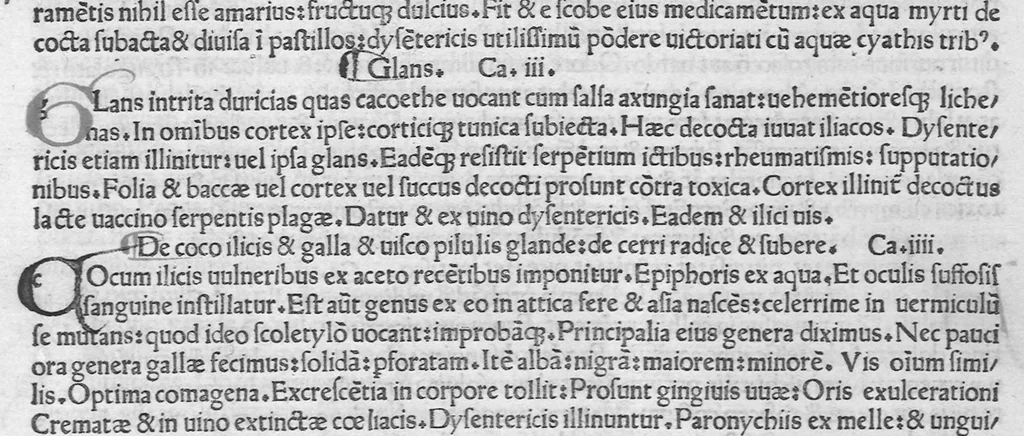An illustration from Historiae naturalis, leaf 351