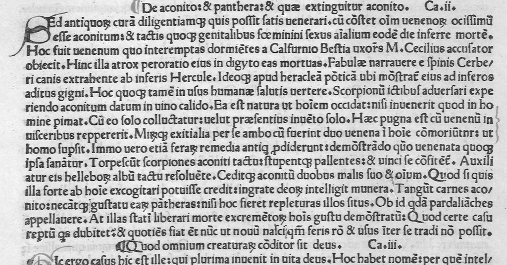 An illustration from Historiae naturalis, leaf 387