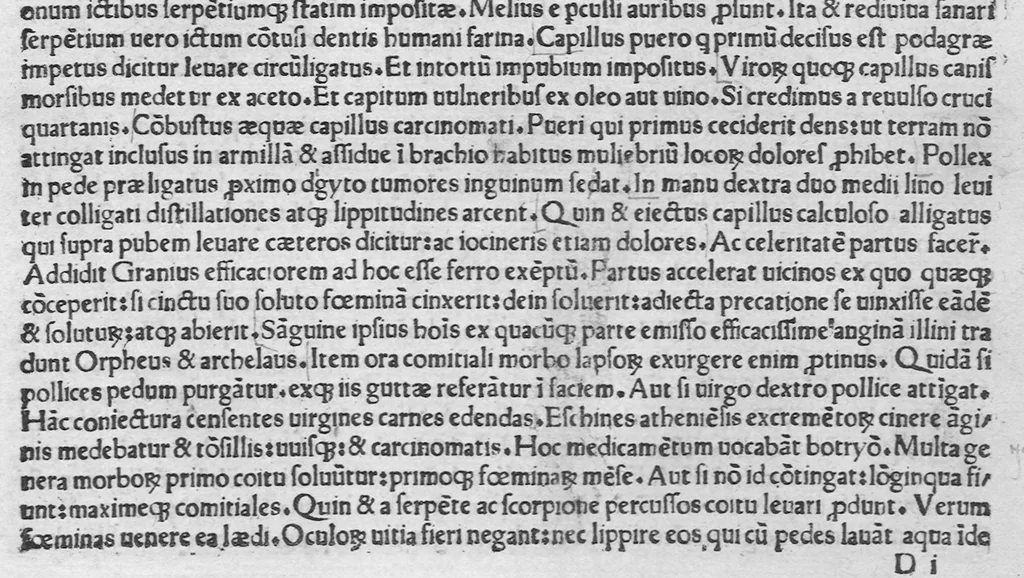 An illustration from Historiae naturalis, leaf 399