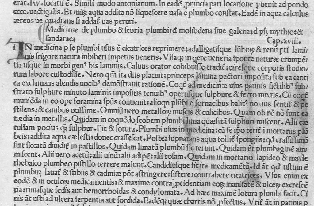 An illustration from Historiae naturalis, leaf 482