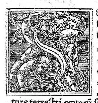 An illustration from In Omnes C. Plinii Secvndi Natvralis Historiæ Argvtissimi Scriptoris libros, Stephani Aquæi Bituricensis, viri Equestris, Commentaria, 1530, leaf 111