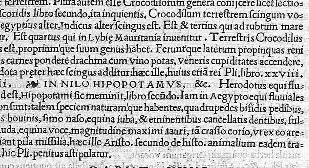 An illustration from In Omnes C. Plinii Secvndi Natvralis Historiæ Argvtissimi Scriptoris libros, Stephani Aquæi Bituricensis, viri Equestris, Commentaria, 1530, leaf 248