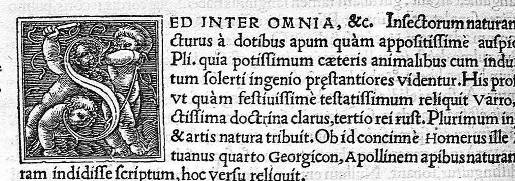 An illustration from In Omnes C. Plinii Secvndi Natvralis Historiæ Argvtissimi Scriptoris libros, Stephani Aquæi Bituricensis, viri Equestris, Commentaria, 1530, leaf 329