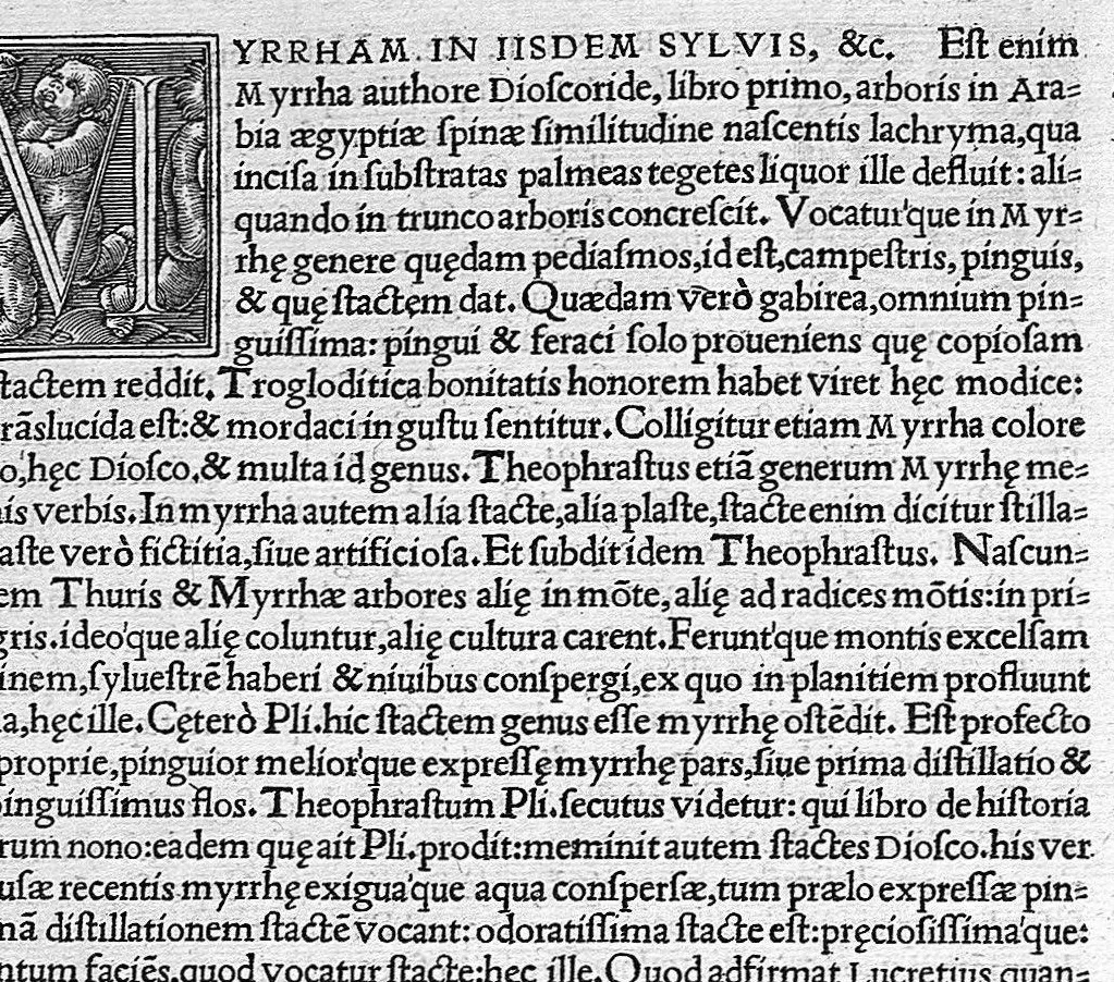 An illustration from In Omnes C. Plinii Secvndi Natvralis Historiæ Argvtissimi Scriptoris libros, Stephani Aquæi Bituricensis, viri Equestris, Commentaria, 1530, leaf 380