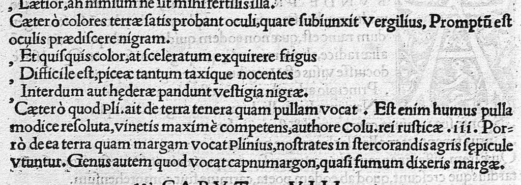 An illustration from In Omnes C. Plinii Secvndi Natvralis Historiæ Argvtissimi Scriptoris libros, Stephani Aquæi Bituricensis, viri Equestris, Commentaria, 1530, leaf 458