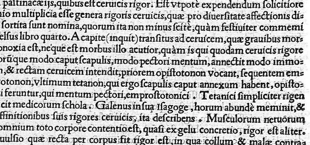 An illustration from In Omnes C. Plinii Secvndi Natvralis Historiæ Argvtissimi Scriptoris libros, Stephani Aquæi Bituricensis, viri Equestris, Commentaria, 1530, leaf 552