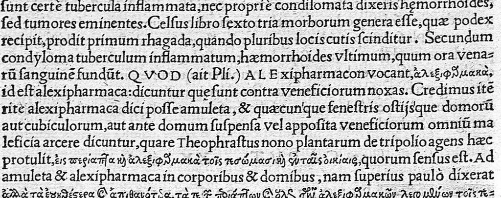 An illustration from In Omnes C. Plinii Secvndi Natvralis Historiæ Argvtissimi Scriptoris libros, Stephani Aquæi Bituricensis, viri Equestris, Commentaria, 1530, leaf 602