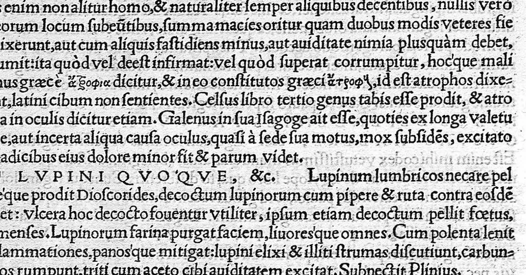 An illustration from In Omnes C. Plinii Secvndi Natvralis Historiæ Argvtissimi Scriptoris libros, Stephani Aquæi Bituricensis, viri Equestris, Commentaria, 1530, leaf 624