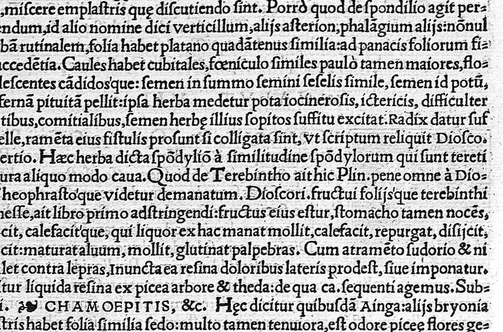 An illustration from In Omnes C. Plinii Secvndi Natvralis Historiæ Argvtissimi Scriptoris libros, Stephani Aquæi Bituricensis, viri Equestris, Commentaria, 1530, leaf 642
