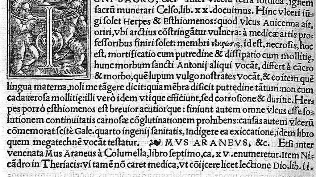 An illustration from In Omnes C. Plinii Secvndi Natvralis Historiæ Argvtissimi Scriptoris libros, Stephani Aquæi Bituricensis, viri Equestris, Commentaria, 1530, leaf 713