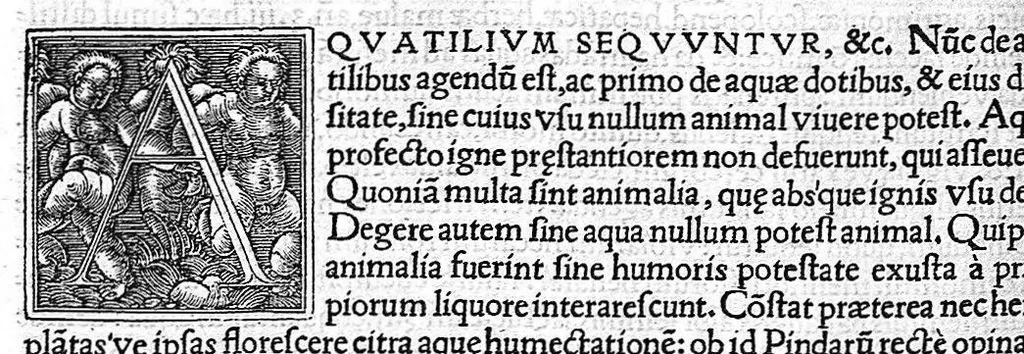 An illustration from In Omnes C. Plinii Secvndi Natvralis Historiæ Argvtissimi Scriptoris libros, Stephani Aquæi Bituricensis, viri Equestris, Commentaria, 1530, leaf 713