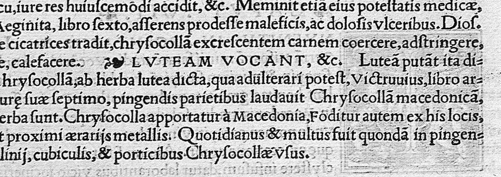 An illustration from In Omnes C. Plinii Secvndi Natvralis Historiæ Argvtissimi Scriptoris libros, Stephani Aquæi Bituricensis, viri Equestris, Commentaria, 1530, leaf 728