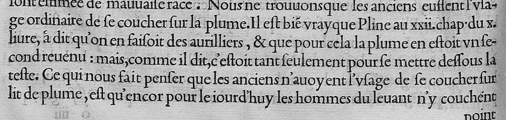 An illustration from L'histoire de la nature des oiseaux, avec leurs descriptions, et naïfs portraicts retirez du naturel, écrite en sept livres, 1555, leaf 183