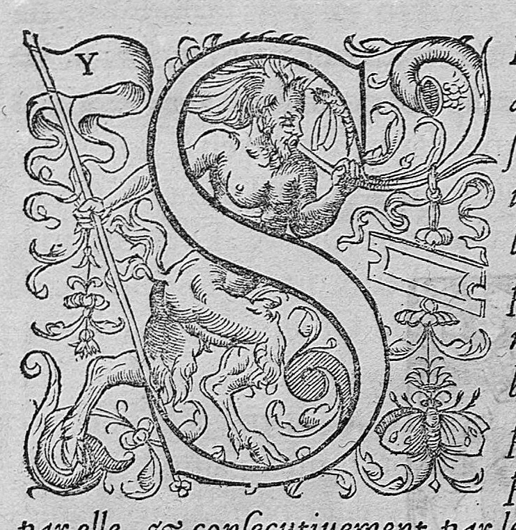 An illustration from L'histoire de la nature des oiseaux, avec leurs descriptions, et naïfs portraicts retirez du naturel, écrite en sept livres, 1555, leaf 213