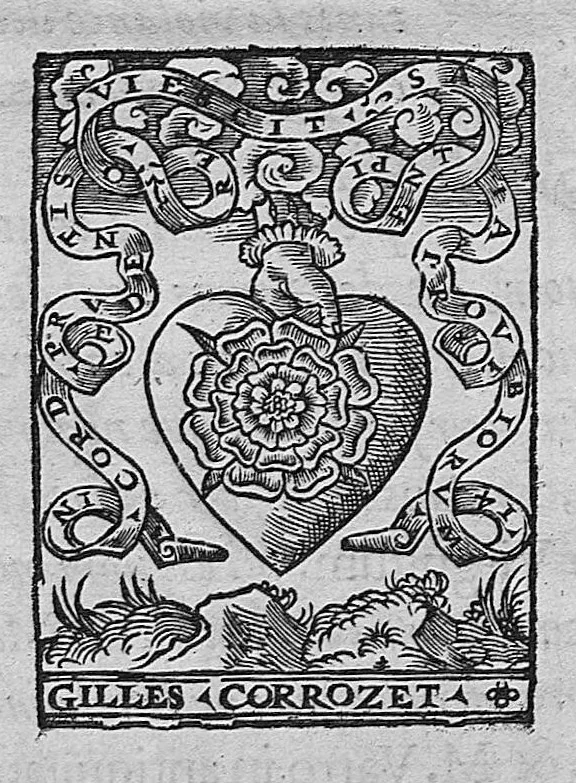 An illustration from L'histoire de la nature des oiseaux, avec leurs descriptions, et naïfs portraicts retirez du naturel, écrite en sept livres, 1555, leaf 360